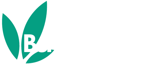 benno-koch.de