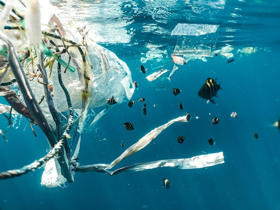 New Report Analyses Sources of Ocean Plastic Pollution