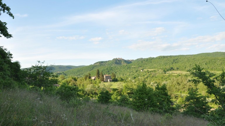 a78864099b374a41b28f41f8ff574bd222a3d7c1