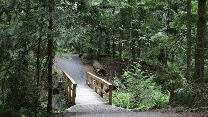 Der Trans Canada Trail