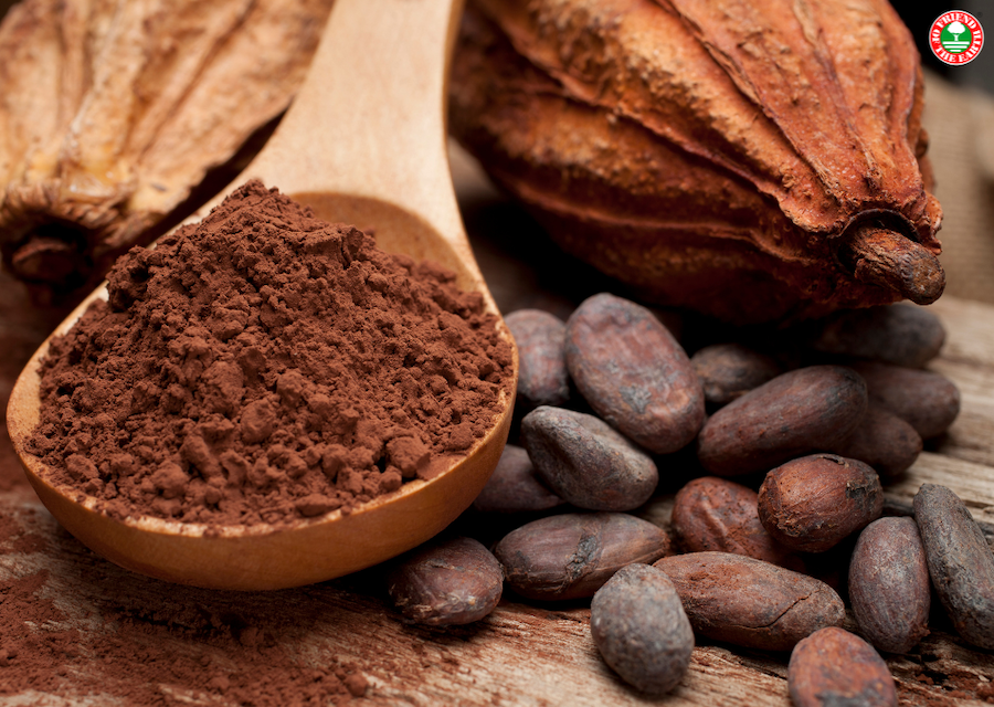 Friend of the Earth launches Sustainable Chocolate Certification in Ghana