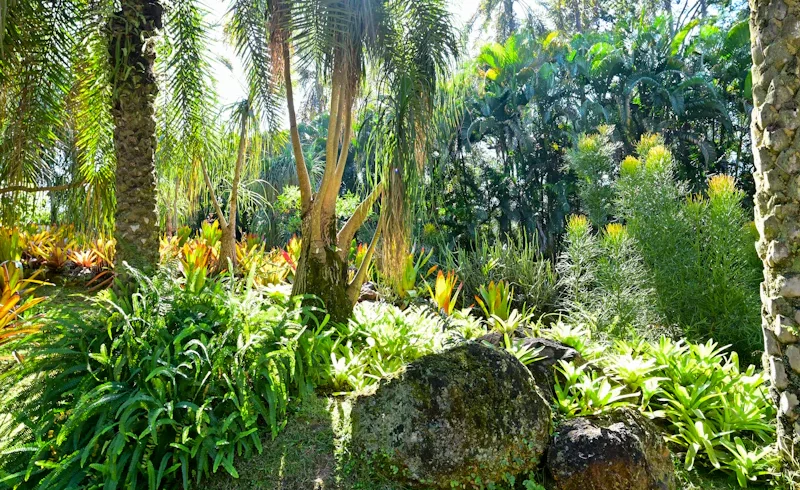 Garten reich an verschiedenen Pflanzen