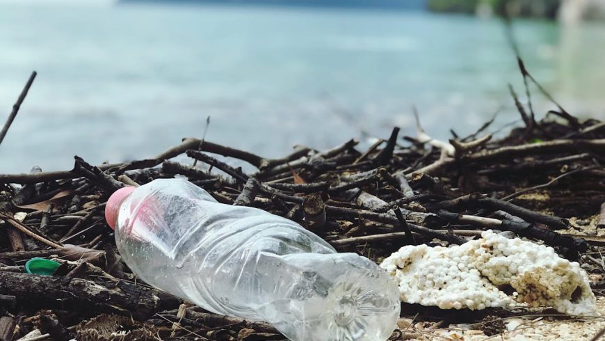 Plastikflasche, Plastikabfälle, Zweige an einem Strand, Berge, Meer