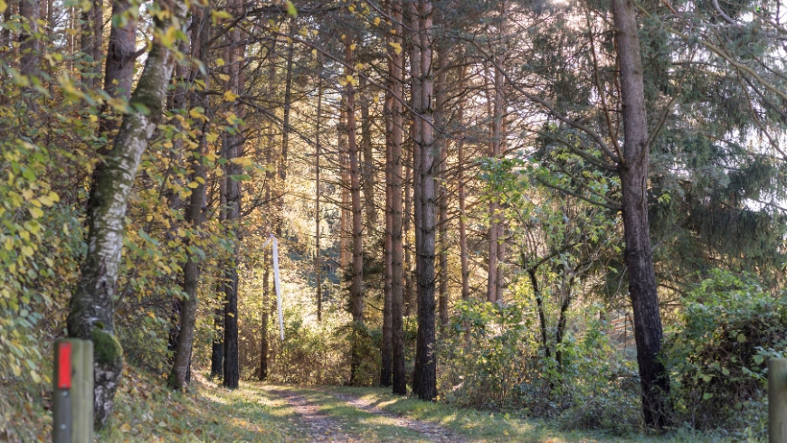 5 Wanderwege in Val di Gresta, Trentino