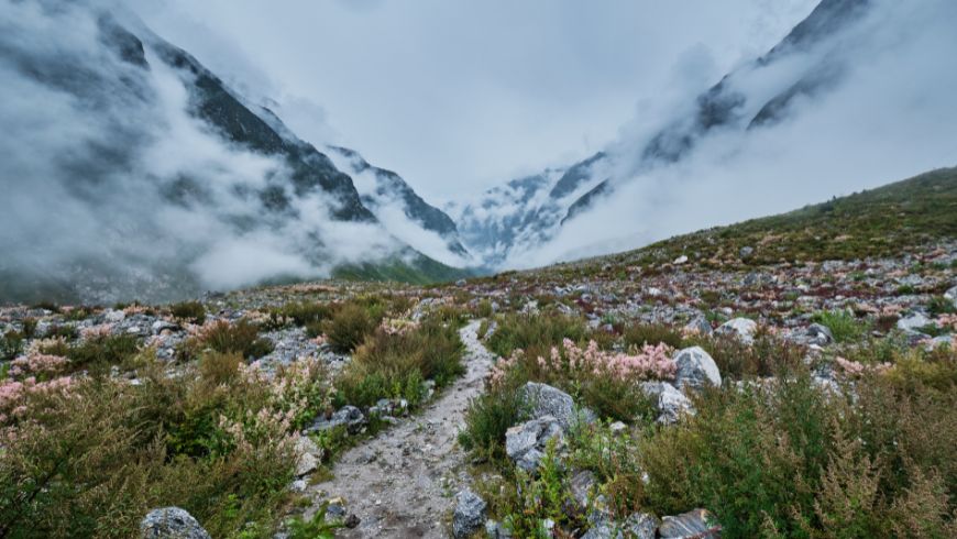 Langtang Valley Trekking mit einem lokalen Führer