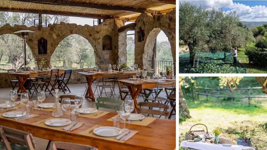 Restaurant, Olive Picking und Picknicks in der Natur