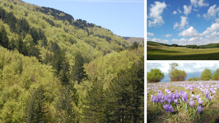 Märchenlandschaften von Sila