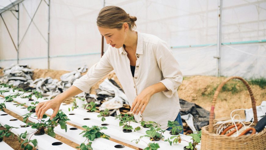 Student im beige Langarmhemd mit grüner Pflanze hält eine grüne Pflanze