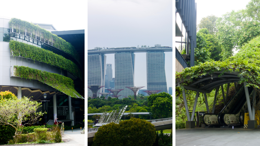 In die Architektur integrierte vertikale Gärten und Grünanlagen in Singapur