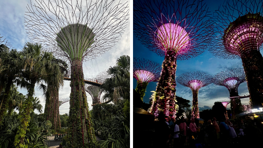   Gardens by the Bay in Singapur
