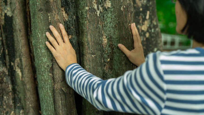 Beim Waldbaden werden alle Sinne angesprochen