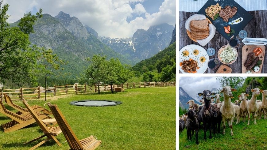 Bio-Bauernhof, der es Kindern ermöglicht, in Kontakt mit Tieren zu leben