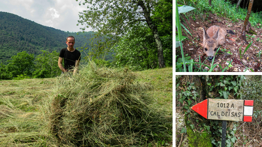 Unberührte Natur in der Nähe des Agriturismo Cargador de Ron