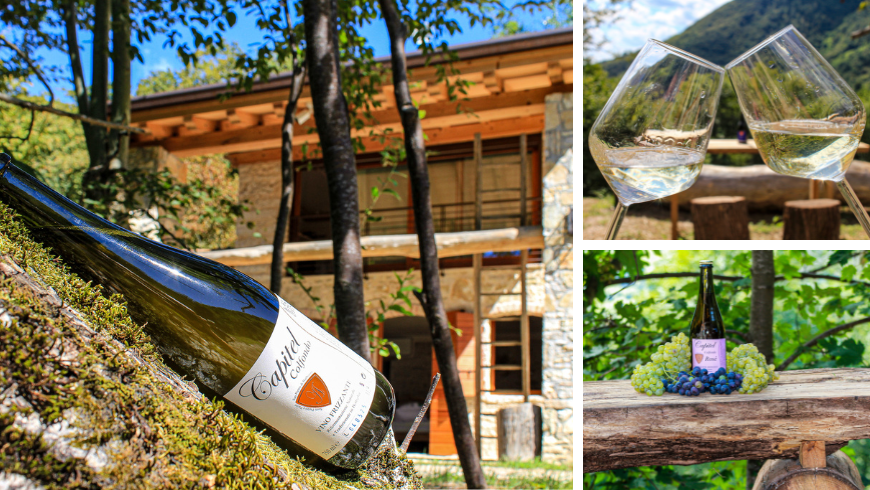 Bio-Agriturismo Cargador, Prosecco und Weingläser
