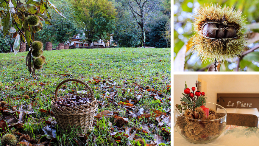 Kastanien und Landschaft des Agriturismo Cargador
