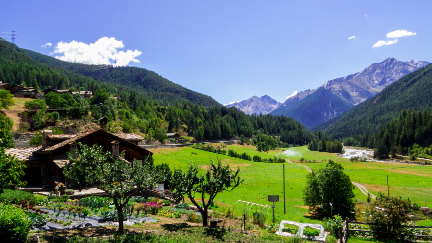 grüne Berge und Felder