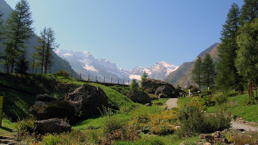 Alpenbotanischer Garten Paradisia in Cogne