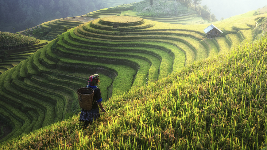 Umweltfreundlicher reisen in Vietnam