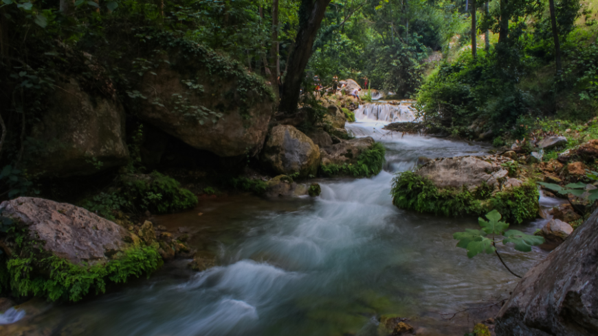 Natürliches Flussökosystem, geprägt durch Wasserfluss, Vegetation und Artenvielfalt.