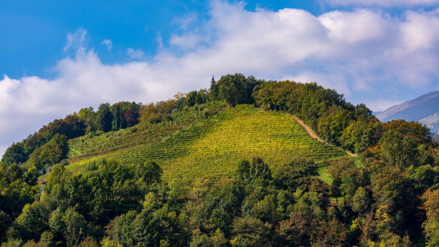 die Route der Valdobbiadene-Hügel