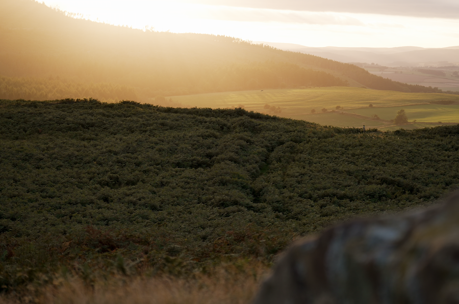 Rothbury Estate appeal celebrates Valentines boost as two donors give £1.5m