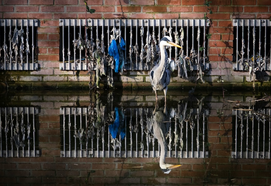 England verzeichnet einen Rückgang der ungeklärten Abwassereinleitungen, aber die Umweltverschmutzung bleibt eine Krise