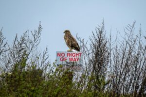 Englands neuer Landnutzungsrahmen: Eine Chance, die Natur in den Mittelpunkt der Planung zu stellen