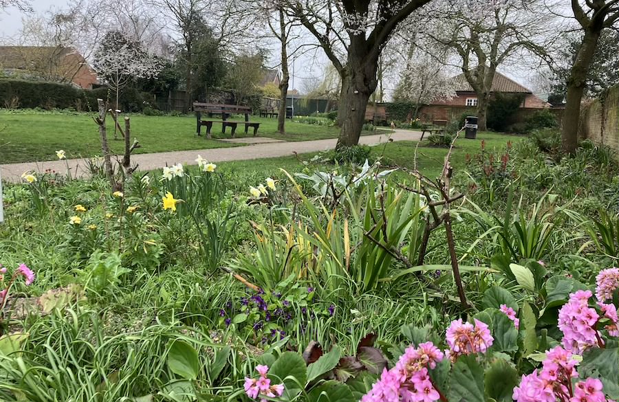 Park life; how good are our public greenspaces for wildlife?