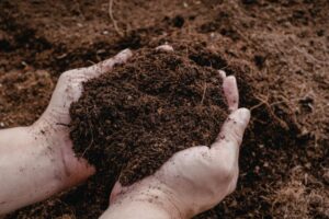 Regenerative Bauernhöfe: Was „bodenfreundlich“ wirklich bedeutet