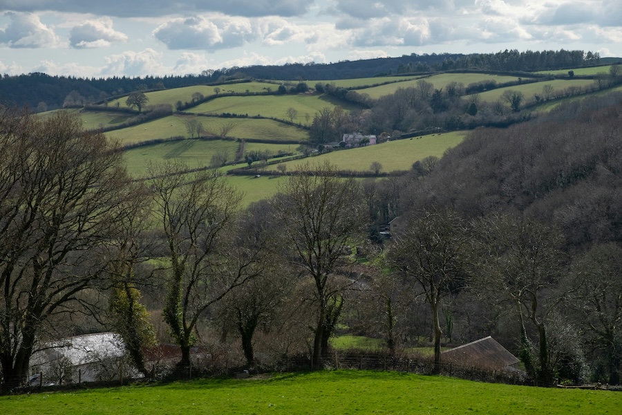 Verbot der Wanderjagd in England und Wales vorgeschlagen
