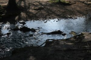 Wenn Flüsse gesetzliche Rechte hätten, wären Abwasserskandale viel schwerer zu ignorieren