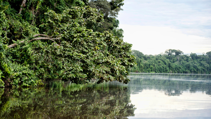 Ausflüge auf dem Tambopata-Fluss