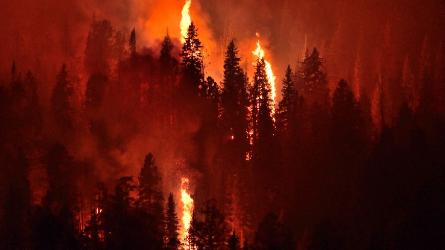 Klimagewalt, Waldbrände nehmen aufgrund des Klimawandels immer häufiger zu