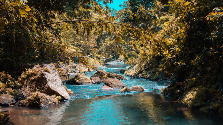 Fluss im Wald, der natürliche Klänge darstellt, die in der Musiktherapie verwendet werden.