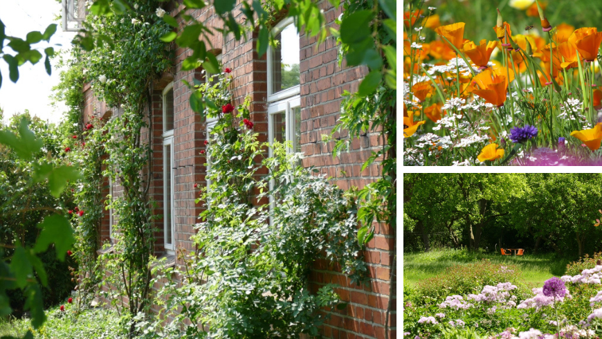 Eintauchen in die Natur, Klänge, Düfte und Farben, Biobauernhof Deutschland 