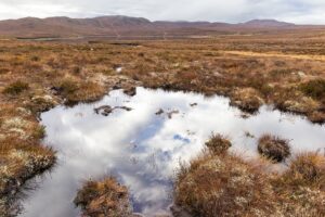 Seltener Lebensraum in der Nähe von Loch Ness im Rahmen eines bahnbrechenden schottischen Projekts wiederhergestellt