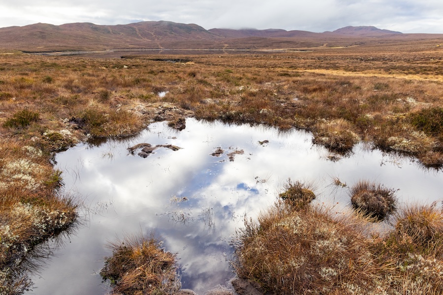Seltener Lebensraum in der Nähe von Loch Ness im Rahmen eines bahnbrechenden schottischen Projekts wiederhergestellt