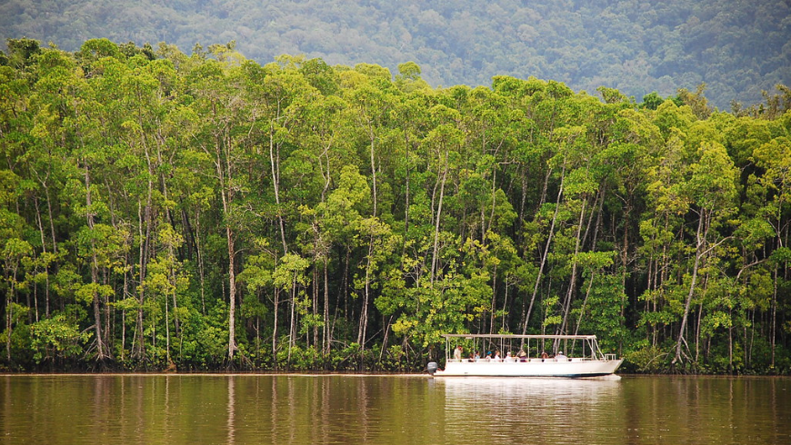 Daintree-Regenwald, Queensland, Australien. Bäume, Fluss und Boot.