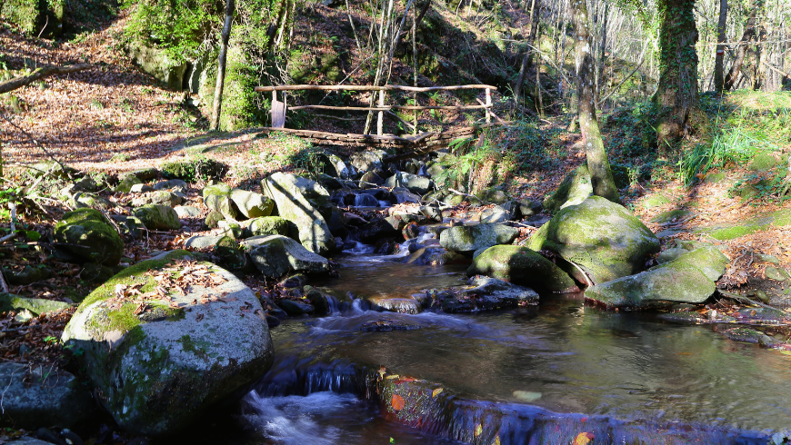 Was Sie im Nationalpark Casentinesi-Wälder unternehmen können