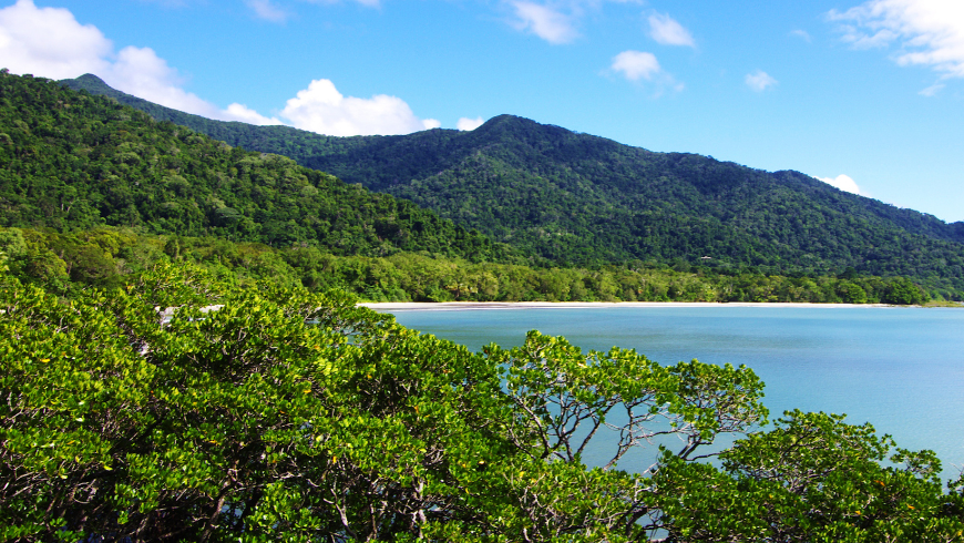 Daintree Regenwald, Berge und Meer