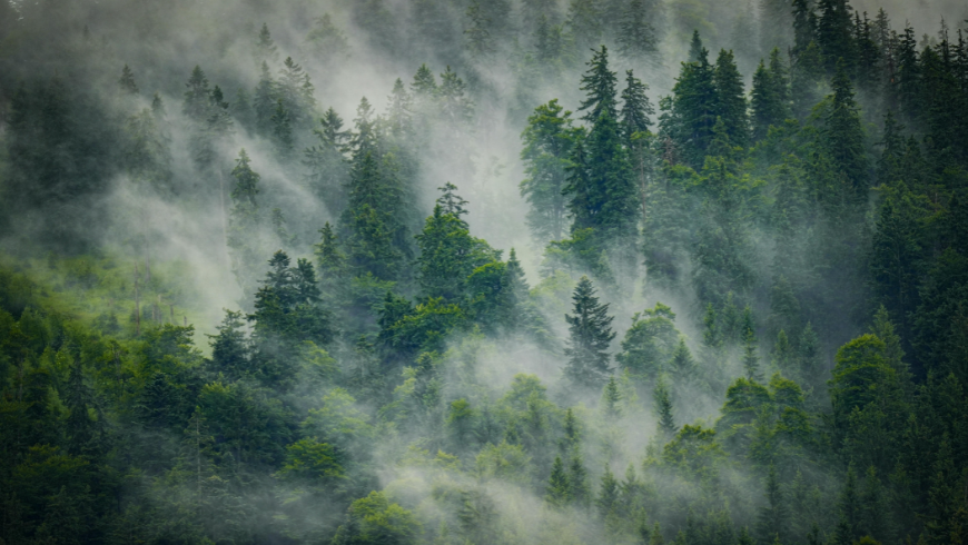 Die Geräusche der Natur geben uns ein gutes Gefühl: Lernen wir, ihnen zuzuhören!