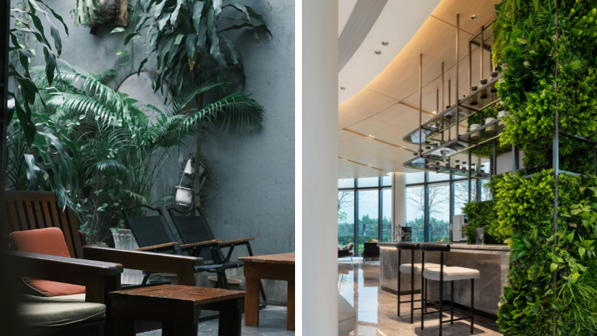 Innenbegrünung für Hotels und B&Bs: Wie Pflanzen nachhaltige Aufenthalte verändern