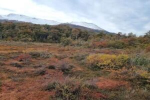 Moore sind für die Bekämpfung des Klimawandels von entscheidender Bedeutung, doch Wissenschaftler haben sie noch immer nicht alle gefunden