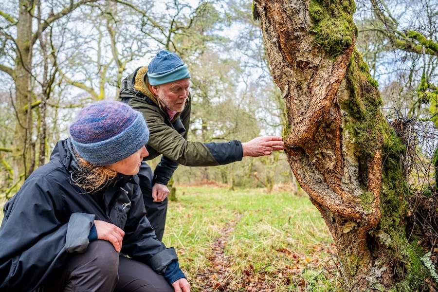 Trust nurtures nature and asks incoming government to take bold action