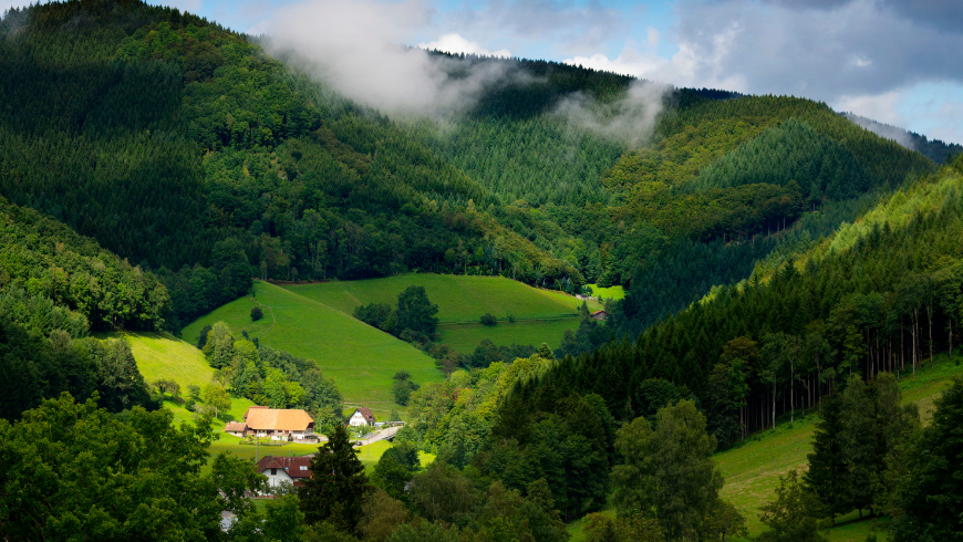 Schwarzwald