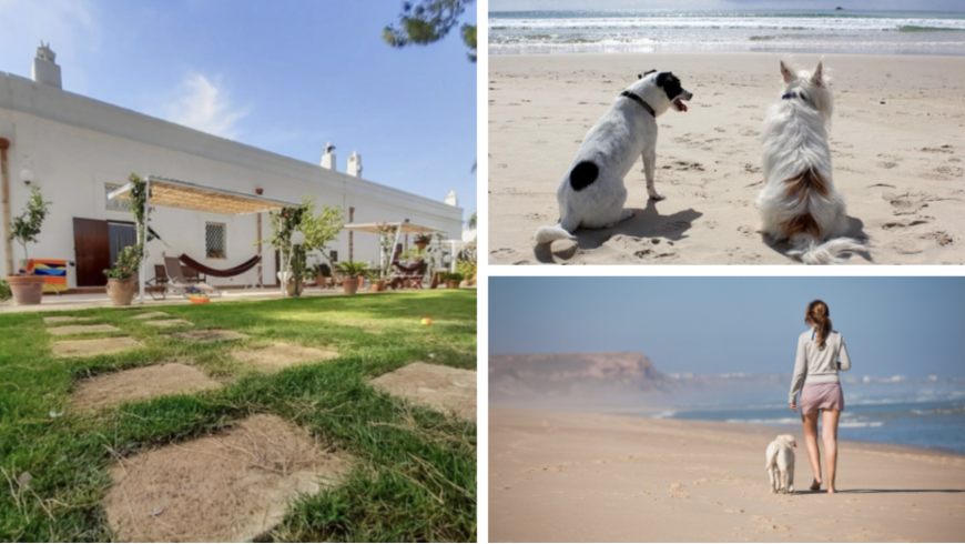Garten des Agriturismo La Stornara und Hunde und Besitzer beim Spaziergang am Strand