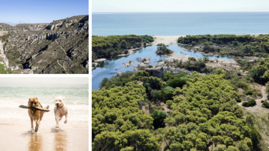 Gärten, Natur der Riserva und Hunde