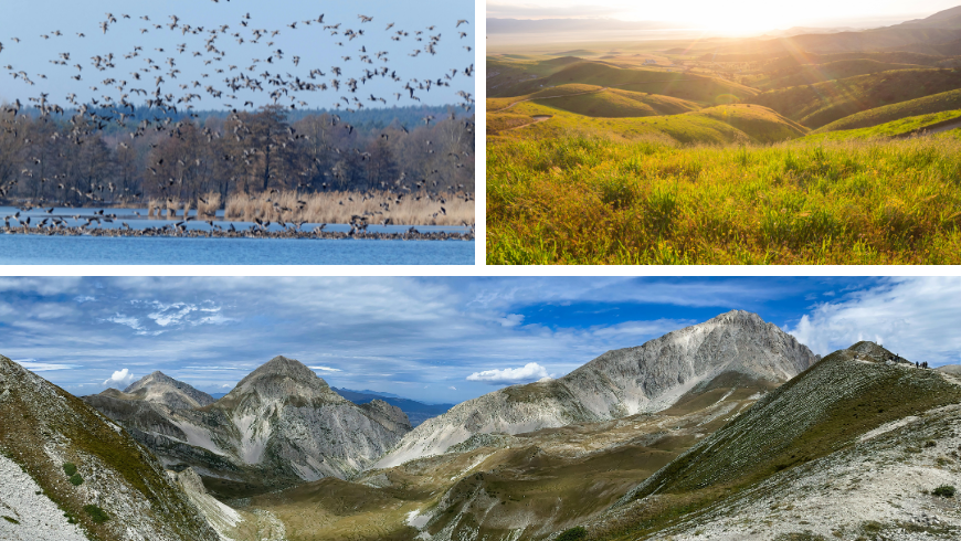 Panoramablick auf die Hügel und den Gran Sasso sowie auf den See mit Vögeln
