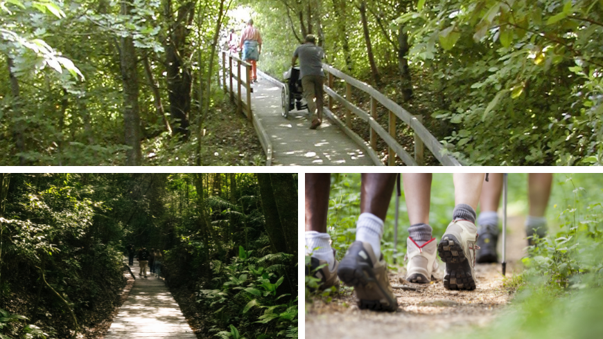 Mit Gehweg ausgestatteter Weg und Trekking zwischen den Wegen des Parks