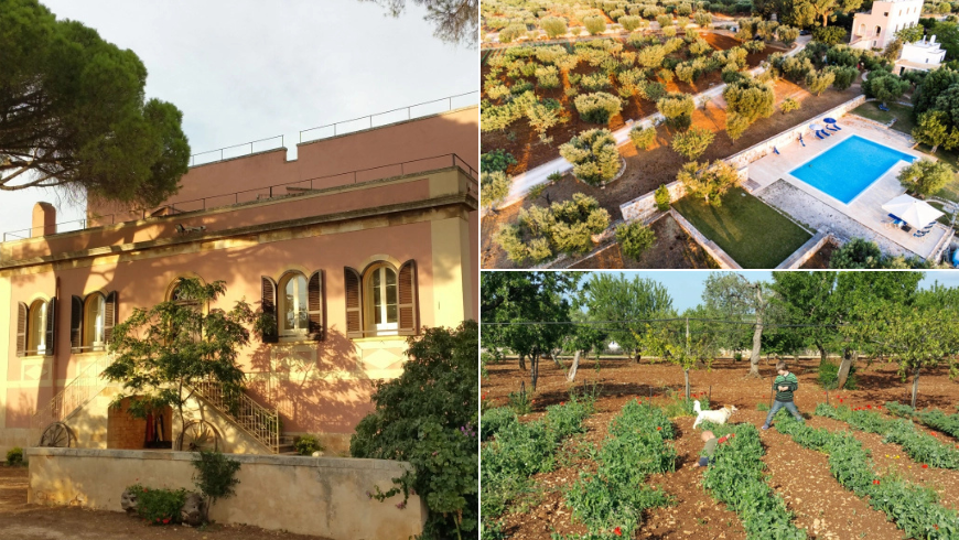 Übernachten in der apulischen Murge: das authentische Erlebnis der Masseria Serragambetta